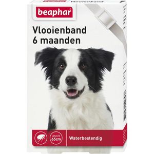 Beaphar - Vlooienband - Wit - Honden - 6 Maanden Bescherming