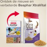 Beaphar Xtravital Exotische Vogels, 500 g