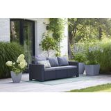 Allibert California Loungebank - 3 personen - 198x68x71,5cm - Antraciet