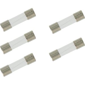 GAMMA Glaszekering voor dimmers - 5 x 20 mm - 2.0 A - Snel - 5 stuks