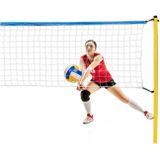 Scatch Volleybal- en Badmintonset - met Net, Rackets, Shuttles en Bal - Draagtas - 310 x 168 cm