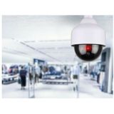 Benson Dummy Beveiligings Camera - Led dome - kunststof - realistisch - binnen en buiten