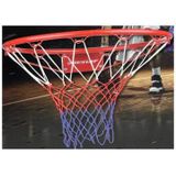 Basketbalring met net 45cm (Dunlop)Dunlop