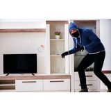 Alpina - Smart Home - Bewegingssensor - 3V - Zigbee Gateway - 5M Detectie