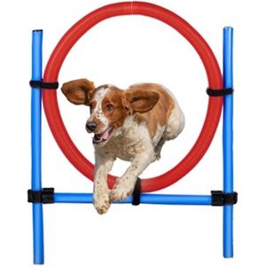 maxxpro Agility Ring - Set Agility voor Honden - 85 x 3 CM - Kunststof - Blauw/ Rood