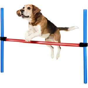 maxxpro Agility Spring Stok - Set Agility voor Honden - 85 x 3 CM - Kunststof - Blauw/ Rood