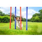 maxxpro Agility Slalom Set - Set Agility voor Honden - 60 x 3 CM - Kunststof - Blauw/ Rood