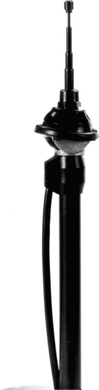 Carpoint - Inzinkantenne - Zwart - Volledig Inzinkbaar - 4 Secties - 1,2 Meter Kabel