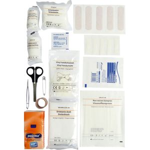 Carpoint - EHBO Kit - 29-Delige Verbanddoos - Inclusief Handschoenen