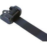 Carpoint - Tweepuntsgordel - Zwart - Polyester/Staal