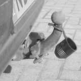 Carpoint - Trekhaakdop - Zwart - Plastic - Met Ring