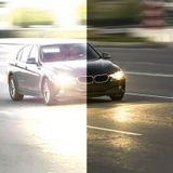 Carpoint - Zonnescherm - Voor Zonneklep - Bevestiging met Clip - 1 Stuk