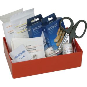 Carpoint - EHBO Set - Assorti Pleisters - Inclusief HBO Handleiding