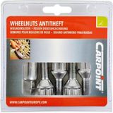 Carpoint - Anti-Diefstal Wielbouten - Zilver - Staal - Set van 4 Bouten en 1 Dop