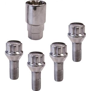 Carpoint - Anti-Diefstal Wielbouten - Zilver - Staal - Set van 4 Bouten en 1 Dop