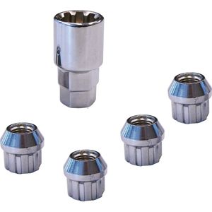 Carpoint Wiel Slotmoeren Set M12x1,25 Type E Conisch