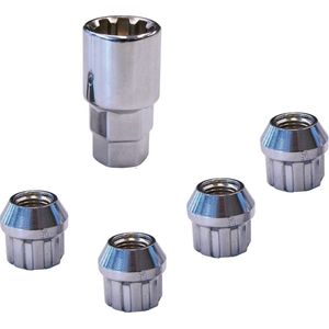 Carpoint - Type F - Anti-Diefstal Wielmoeren - Zilver - Staal - Set van 4