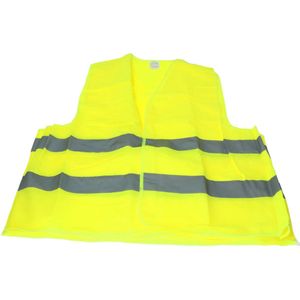 Veiligheidsvest Carpoint Geel Duopack