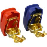 Carpoint - AccuKlemmenset - Goud - Messing/Staalklemmen