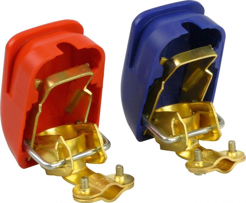 Carpoint - AccuKlemmenset - Goud - Messing/Staalklemmen