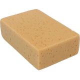 Protecton - Spons - Groot - Hoog Absorberend Vermogen