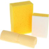 Protecton - Autowas Set - 3-Delig - Inclusief Spons, Insectenspons, Zeem