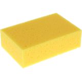 Protecton - Autowas Set - 3-Delig - Inclusief Spons, Insectenspons, Zeem