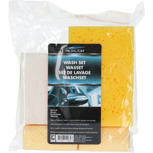 Protecton - Autowas Set - 3-Delig - Inclusief Spons, Insectenspons, Zeem