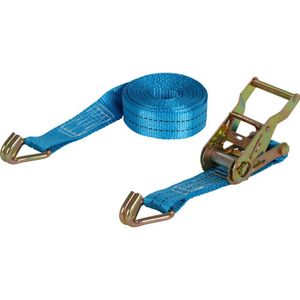 Carpoint Spanband met Ratel en Haken 5 Meter