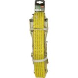 Carpoint - Spanband met Ratel - 9 Meter - 50mm - TÜV/GS Keurmerk
