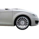 Carpoint - Radical Pro - Wieldoppen - Zilver - Set Van 4 - ABS