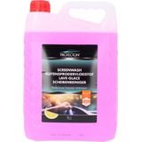 Protecton - Ruitensproeiervloeistof - 5 Liter - Geschikt Voor Zomer