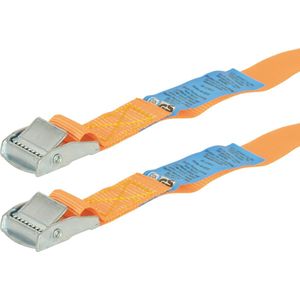 Carpoint - Spanband - Zwart - 2 Stuks - 2,50 Meter - 500 Kilogram Breekkracht