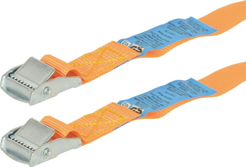 Carpoint - Spanband - Zwart - 2 Stuks - 2,50 Meter - 500 Kilogram Breekkracht