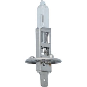 Carpoint - Ultrabright Autolamp H1 - 12V 55W - Superwit Licht - Energiezuinig
