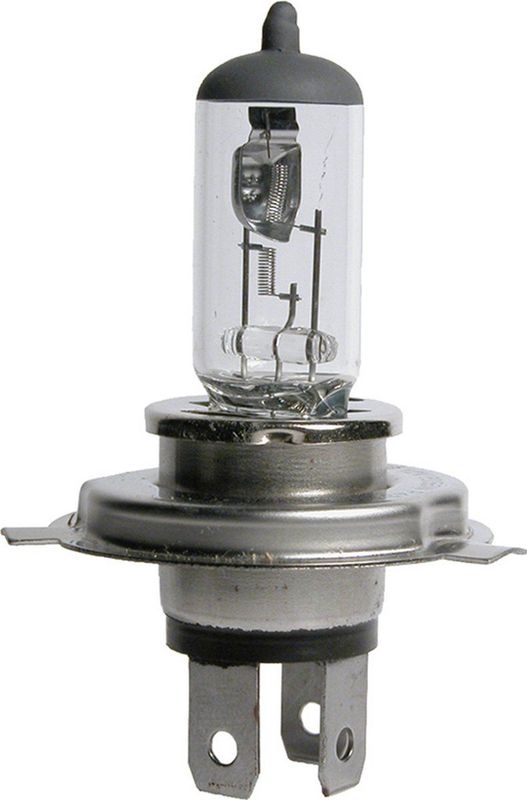 Carpoint - Premium Autolamp H4 - 12V 60/55W - Helder Wit Licht - Universeel