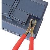 Carpoint - Accupooltang - Zwart/Rood - Staal - Set van 2