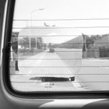 Carpoint - Groothoeklens - Achterruit - Statisch Hechtend - 20 x 25,5 cm