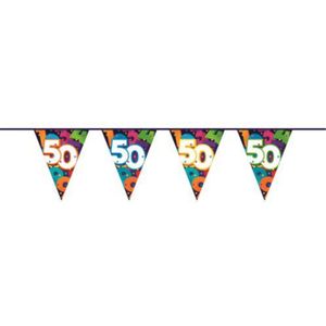 Vlaggenlijn 50 Jaar Multicolor (10 meter)
