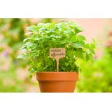 Nature Plantetiketten/plantenlabels - 5x - naturel - bamboe - 14,5 cm - steeketiketten