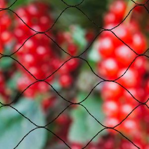 Aquagart Vijvernet 4m X 6m Bladnet Bladbeschermingsnet Vogelbeschermingsnet