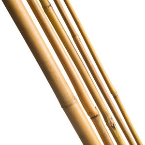 Nature Bamboestok Naturel H210cmxø16-18mm 3 Stuks