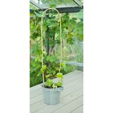 Nature Bamboestok Gebogen Naturel H120cmxø12 14mm 3 Stuks | Moestuin accessoires & benodigdheden