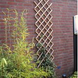 Nature Latwerk Tuin 45x180 cm Bamboe - 6040720