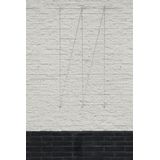 Nature - Spandraadsysteem voor klimplanten - 10m - verzinkte kabel - spandraad