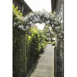 <p>Deze metalen tuinboog van Nature is een ideale decoratieve ondersteuning voor klimplanten zoals kamperfoelie, clematis en rozen. De boog is gemaakt van epoxy gelamineerd, gegalvaniseerd staal en heeft een hoogte van 229 cm. Met afmetingen van 113 x 38 cm (L x B) is deze tuinboog perfect voor de ingang van je tuin.</p>
<p>De tuinboog is niet alleen functioneel, maar ook een prachtige toevoeging aan je tuin. Het zwarte design zorgt voor een stijlvolle uitstraling die goed past bij verschillende tuinstijlen. Door de stevige constructie biedt de boog voldoende ondersteuning aan je klimplanten, zodat ze optimaal kunnen groeien en bloeien.</p>
<p>Deze tuinboog is gemaakt van hoogwaardig materiaal en is daardoor duurzaam en weerbestendig. Je kunt dus jarenlang genieten van deze mooie toevoeging aan je tuin. Plaats de boog bij de ingang van je tuin of gebruik hem als eyecatcher in een bloemenperk. De mogelijkheden zijn eindeloos!</p>
<ul>
  <li>Materiaal: epoxy gelamineerd, gegalvaniseerd staal</li>
  <li>Kleur: zwart</li>
  <li>Hoogte: 229 cm</li>
  <li>Afmetingen: 113 x 38 cm (L x B)</li>
</ul>