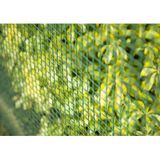 <p>Dit Nature gaashek is gemaakt van hogedichtheidpolyetheen (HDPE) gaas met een uv-bestendige coating. Het gaashek is ideaal voor verschillende toepassingen, zoals het afschermen van een dierenverblijf, het afgrenzen van delen van de tuin, het omringen van een bloembed of het afsluiten van je balkon.</p>
<p>Het gaashek heeft een groene kleur en is gemaakt van duurzaam HDPE-materiaal met een uv-bestendige coating. Hierdoor is het gaashek bestand tegen de invloeden van de zon en gaat het lang mee. De afmetingen van het gaashek zijn 3 x 1 meter (L x H) en het gaas heeft een maaswijdte van 5 x 5 mm (L x B).</p>
<p>Met dit Nature gaashek kun je eenvoudig een veilige omheining creëren op je balkon of een specifiek gebied in je tuin afbakenen. Het gaas is stevig en betrouwbaar, waardoor het geschikt is voor diverse toepassingen. Daarnaast is het gaashek eenvoudig te installeren en te gebruiken.</p>
<ul>
  <li>Gemaakt van hogedichtheidpolyetheen (HDPE) gaas met uv-bestendige coating</li>
  <li>Ideaal voor afschermen van dierenverblijf, afgrenzen van delen van de tuin, omringen van een bloembed of afsluiten van balkon</li>
  <li>Kleur: groen</li>
  <li>Afmetingen: 3 x 1 m (L x H)</li>
  <li>Afmetingen gaas: 5 x 5 mm (L x B)</li>
  <li>Eenvoudig te installeren en te gebruiken</li>
</ul>