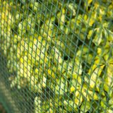 <p>Dit Nature gaashek is gemaakt van hogedichtheidpolyetheen (HDPE) gaas met een uv-bestendige coating. Het gaashek is ideaal voor verschillende toepassingen, zoals het afschermen van een dierenverblijf, het afgrenzen van delen van de tuin, het omringen van een bloembed of het afsluiten van je balkon.</p>
<p>Het gaashek heeft een groene kleur en is gemaakt van duurzaam HDPE-materiaal met een uv-bestendige coating. Hierdoor is het gaashek bestand tegen de invloeden van de zon en gaat het lang mee. De afmetingen van het gaashek zijn 3 x 1 meter (L x H) en het gaas heeft een maaswijdte van 5 x 5 mm (L x B).</p>
<p>Met dit Nature gaashek kun je eenvoudig een veilige omheining creëren op je balkon of een specifiek gebied in je tuin afbakenen. Het gaas is stevig en betrouwbaar, waardoor het geschikt is voor diverse toepassingen. Daarnaast is het gaashek eenvoudig te installeren en te gebruiken.</p>
<ul>
  <li>Gemaakt van hogedichtheidpolyetheen (HDPE) gaas met uv-bestendige coating</li>
  <li>Ideaal voor afschermen van dierenverblijf, afgrenzen van delen van de tuin, omringen van een bloembed of afsluiten van balkon</li>
  <li>Kleur: groen</li>
  <li>Afmetingen: 3 x 1 m (L x H)</li>
  <li>Afmetingen gaas: 5 x 5 mm (L x B)</li>
  <li>Eenvoudig te installeren en te gebruiken</li>
</ul>