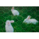 Nature - Verzinkt staal gaas - 1 x 2,5m - Grijs - 13 x 13mm mazen