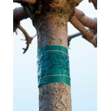 Nature Insecten Kleefband - 150 cm - 6060134